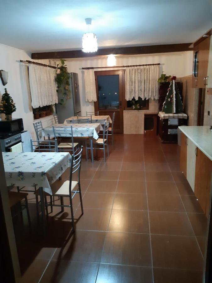 Agropensiunea Caprioara Mintia Exterior foto